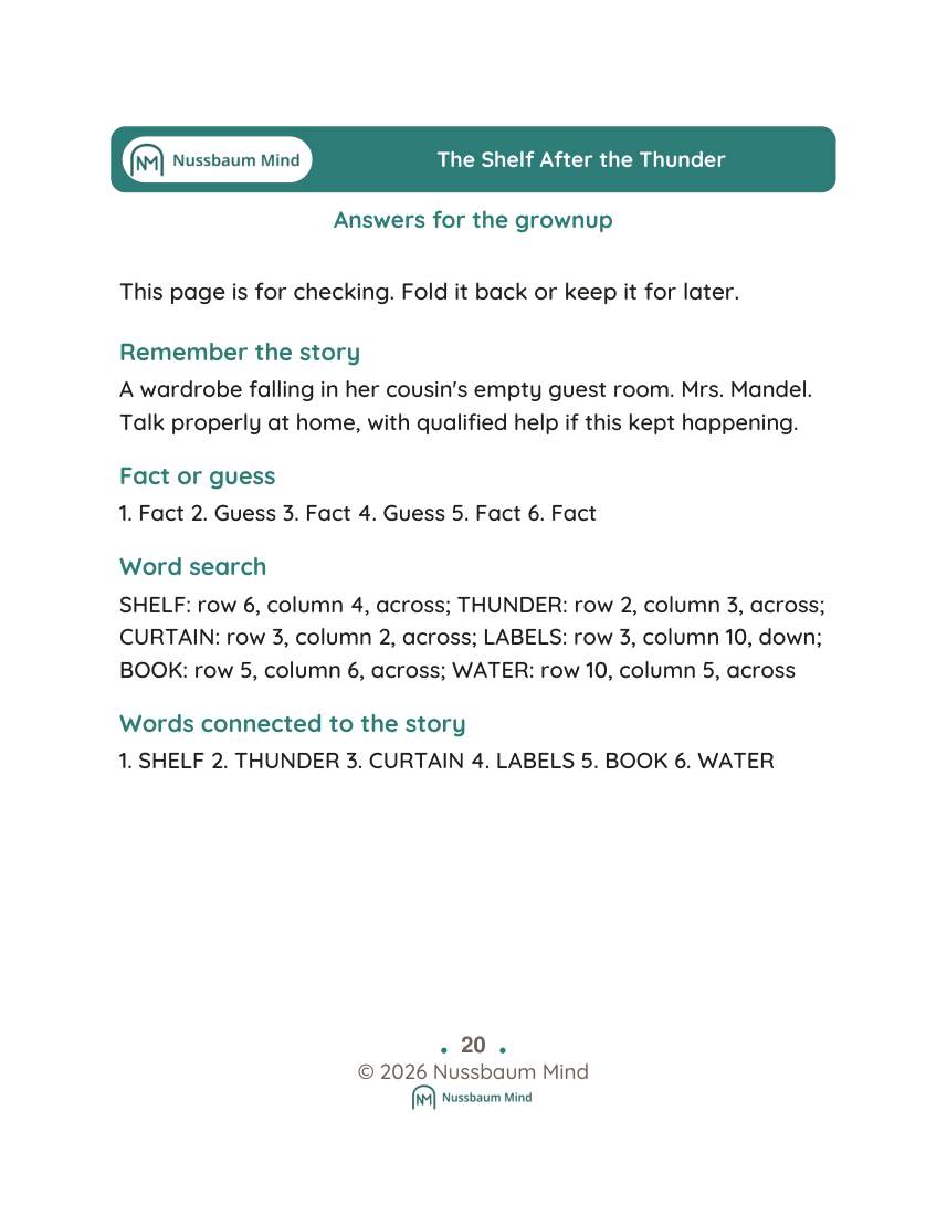 The Shelf After the Thunder activity page 9